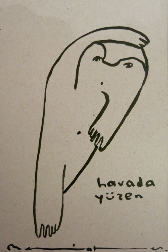 havada yuzen